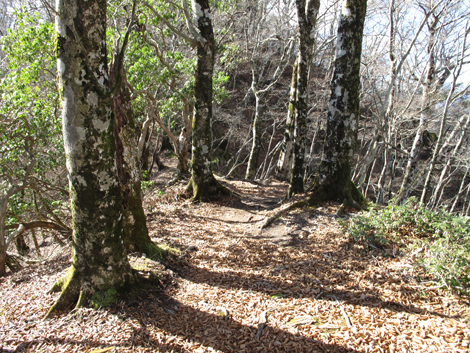 20161206hike (238)
